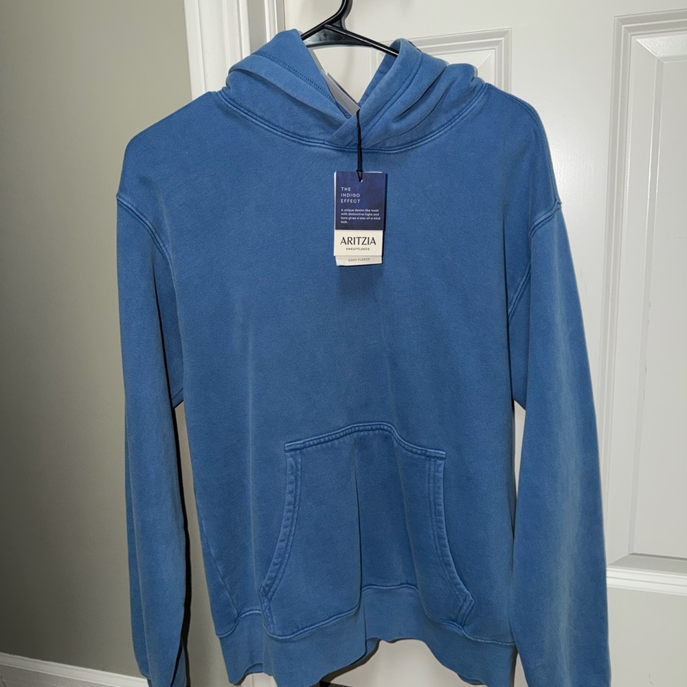 Aritzia Blue Hoodie